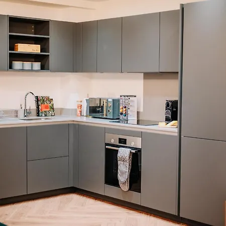Chic Gem, Fast Wifi, Contractors Family Apartment Birmingham